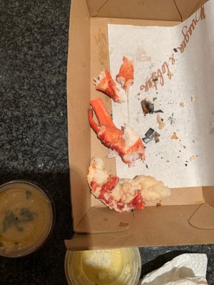 Burger & Lobster - West India Quay by null