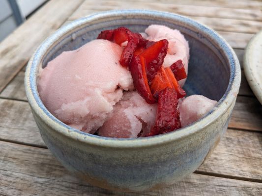 Oystercatcher by null