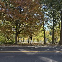 Road view of the park and pond.
