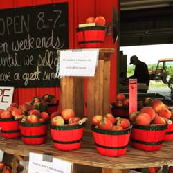 Engel's Peaches