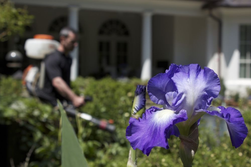 ECOTEK TERMITE AND PEST CONTROL Updated June 2024 28 Photos 2210