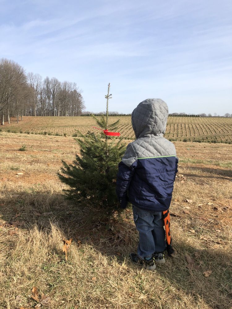 PINE VALLEY FARMS 16 Reviews & 12 Photos 1150 Fannie Dorsey Rd