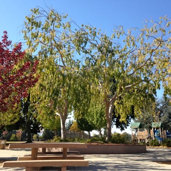 Ortega Park - Parks Near Me - Sunnyvale, California Ortega Park - Parks Near Me - Sunnyvale, California