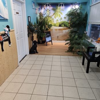 Mani PETi Pet Grooming - Pet Groomers Near Me - Marlton, New Jersey Mani PETi Pet Grooming - Pet Groomers Near Me - Marlton, New Jersey