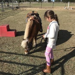 Party Animals Pony Rides
