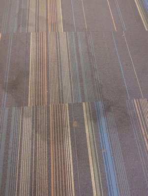 Tanner Flats Apartments