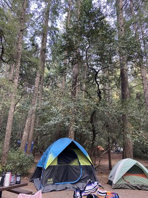 Panther Flat Campground by null
