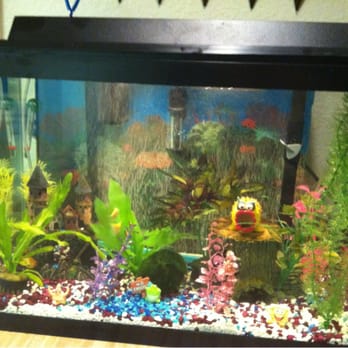 Petco - Pet Stores Near Me - Scottsdale, Arizona Petco - Pet Stores Near Me - Scottsdale, Arizona