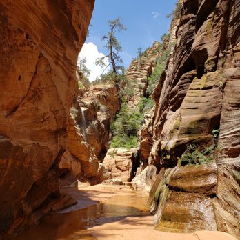 Zion Guru - Bike Rentals Near Me - Springdale, Utah Zion Guru - Bike Rentals Near Me - Springdale, Utah