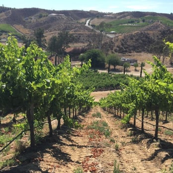 Gershon Bachus Vintners - Venues & Event Spaces Near Me - Temecula, California