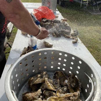 Nana's Main Ingredient - Fresh oysters coming off the steamer - Food Trucks Near Me