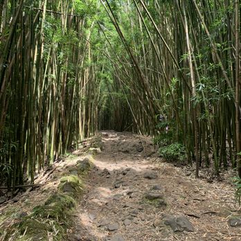 Pipiwai Trail - Hiking Near Me - Hana,, Hawaii