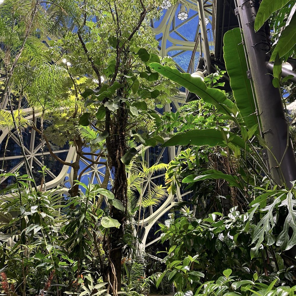 Amazon Spheres - Botanical Gardens Near Me - Seattle, Washington