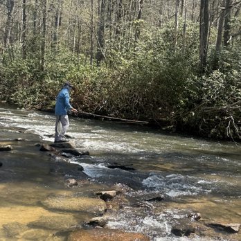 Whole Body Chiropractic - Fly fishing local mountain stream, Western North Carolina - Chiropractors Near Me - Asheville, North Carolina