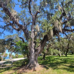 Old Fort Park