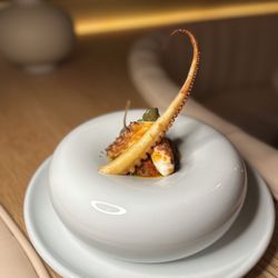 Stella's Cucina - Octopus