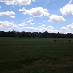 Lewis Park