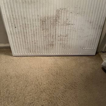 Grady Management - This is the Mold that was under the sink. - Property Management Near Me - Silver Spring, Maryland