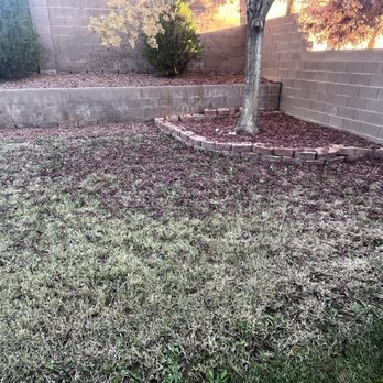 Bonilla Landscaping  - Before leaf pickup in backyard - Landscaping Near Me