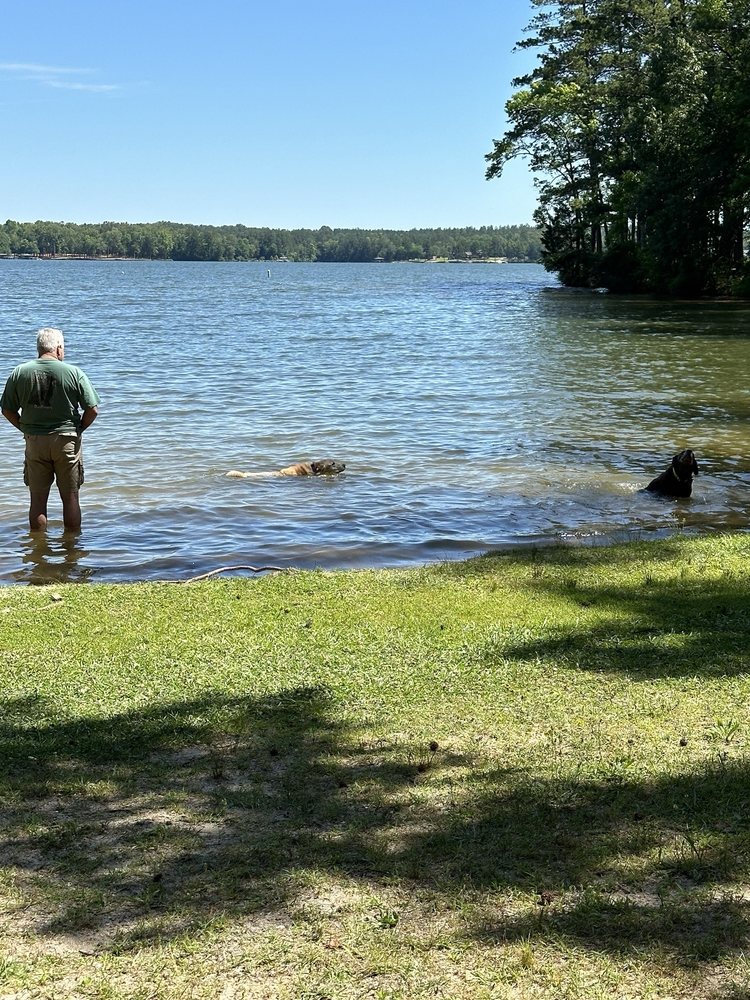 Lake Greenwood State Park Image