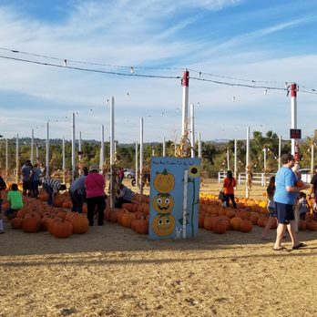 Rancho Bernardo Pumpkin Farm - Pumpkin Patches Near Me - San Diego, California Rancho Bernardo Pumpkin Farm - Pumpkin Patches Near Me - San Diego, California