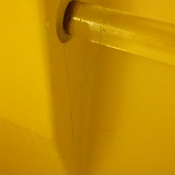 Days Inn by Wyndham Wrightstown McGuire AFB/Bordentown - Hair on the handle in shower - please note, this is the way we found our shower once checked in. - Hotels Near Me - Wrightstown, New Jersey