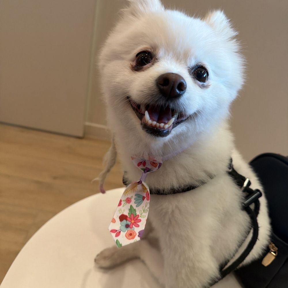 Petfolk Veterinary & Urgent Care - Scottsdale - Veterinarians Near Me - Scottsdale, Arizona Petfolk Veterinary & Urgent Care - Scottsdale - Veterinarians Near Me - Scottsdale, Arizona