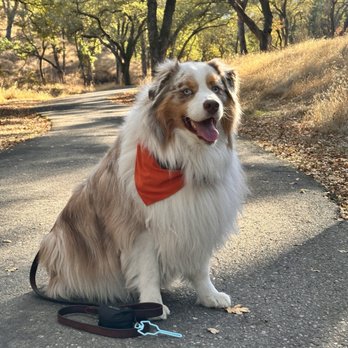 Sonoma Valley Regional Park - My boy enjoying the place - Parks Near Me - Glen Ellen, California Sonoma Valley Regional Park - My boy enjoying the place - Parks Near Me - Glen Ellen, California