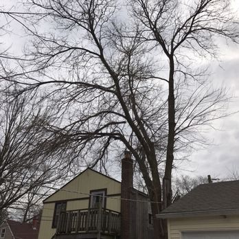 1. EJ Tree Service