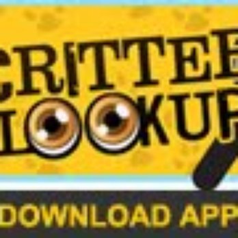 Critter Control - Pest Control Near Me - Carmel, Indiana