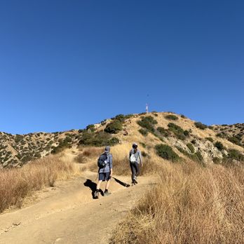 Wildwood Canyon Park - You can see the people in the middle of the hike on the mountain. No shade at all. - Parks Near Me - Burbank, California