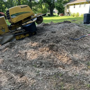 Pro Tree Services - stump removal - Tree Services Near Me