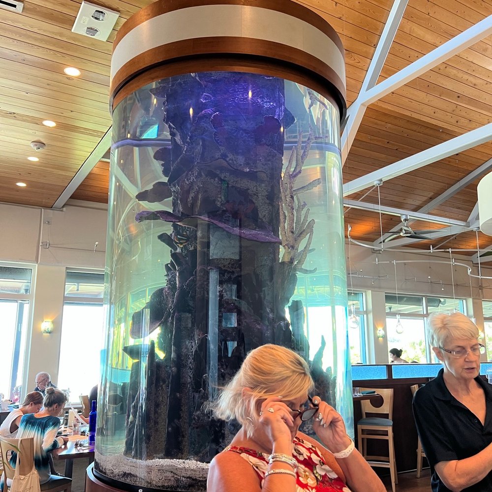 Fins At Sharky's - Steakhouses Near Me - Venice, Florida Fins At Sharky's - Steakhouses Near Me - Venice, Florida