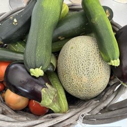 Samaha's Country Farm Market