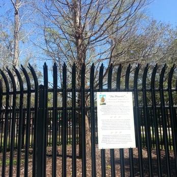 Big Tree Park - I love how this tree was coined from the last one. - Parks Near Me - Longwood, Florida