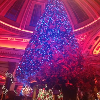 The Dome - Christmas tree on top of the bar - Champagne Bars Near Me - Edinburgh, EDH The Dome - Christmas tree on top of the bar - Champagne Bars Near Me - Edinburgh, EDH
