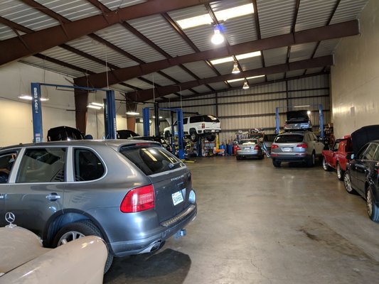 AUTO RISEN - Updated August 2025 - 60 Reviews - 1129A Landini Ln ...