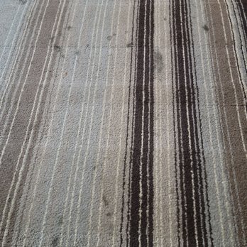 Quality Inn - Filthy carpet - Hotels Near Me - Bulls Gap, Tennessee