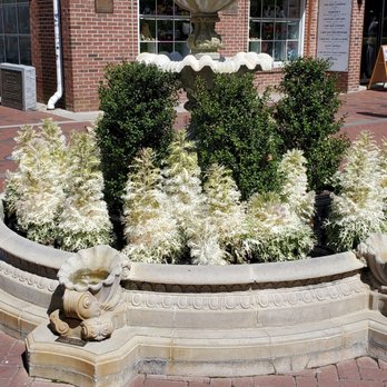 Washington Street Mall - Is this still a fountain? - Shopping Centers Near Me - Cape May, New Jersey Washington Street Mall - Is this still a fountain? - Shopping Centers Near Me - Cape May, New Jersey