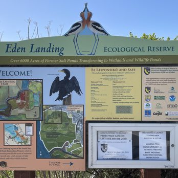 Eden Landing Ecological Reserve - Local Flavor Near Me - Hayward, California Eden Landing Ecological Reserve - Local Flavor Near Me - Hayward, California