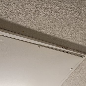 Monterey Grove - More mold in the bathroom and the yellow stains dripping from the bathroom walls - Apartments Near Me - San Jose, California Monterey Grove - More mold in the bathroom and the yellow stains dripping from the bathroom walls - Apartments Near Me - San Jose, California