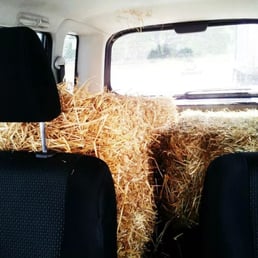 Our Scion xb can hold 2 bales of Hay