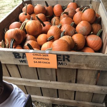 Queen Anne Farm - Farms Near Me - Mitchellville, Maryland Queen Anne Farm - Farms Near Me - Mitchellville, Maryland