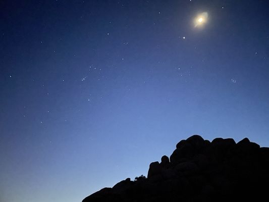 Joshua Tree Visitor Center by null
