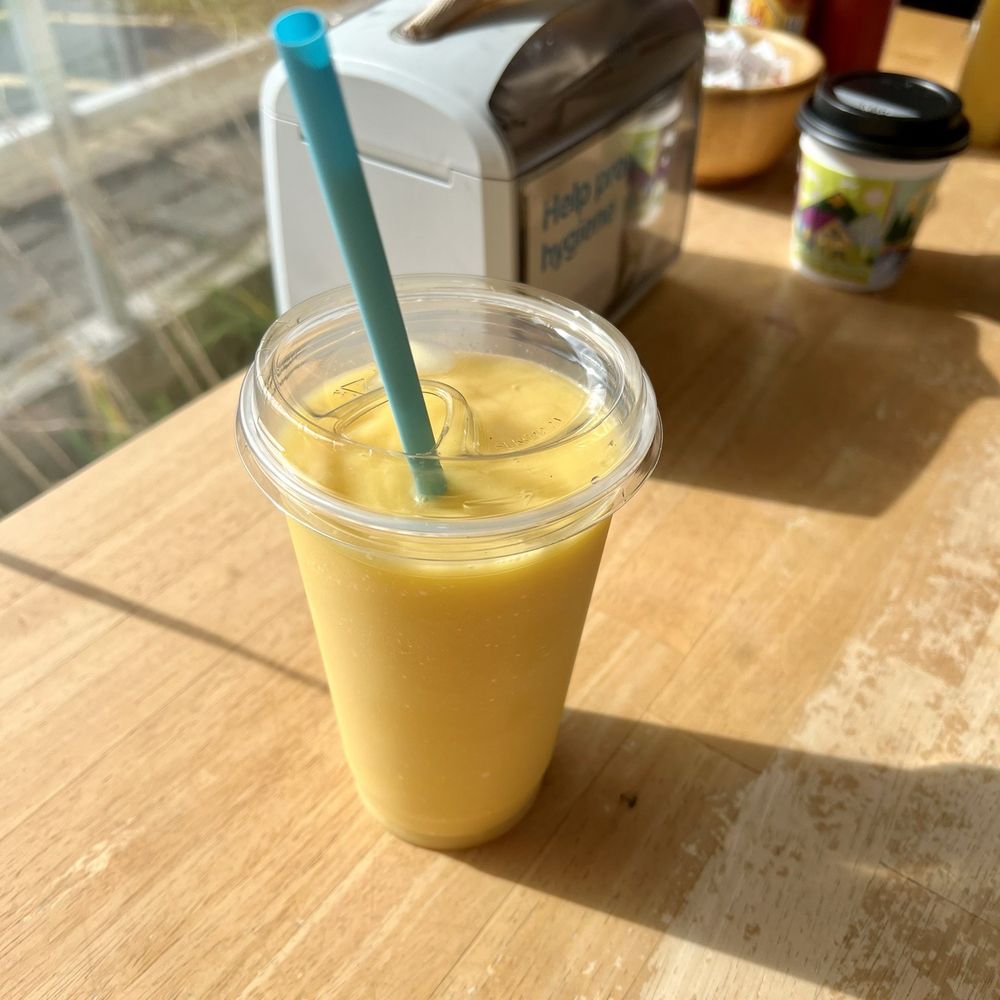 Wicked Bull - Mango