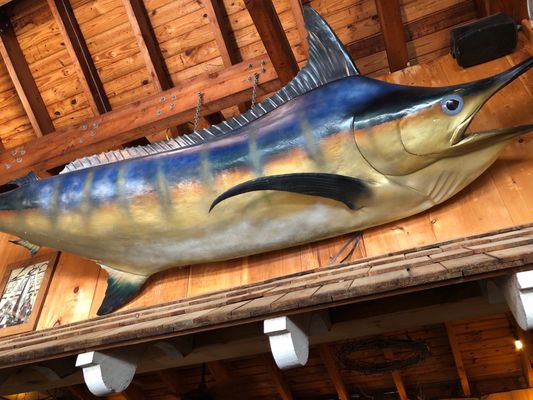 Angler Restaurant & Bar by null