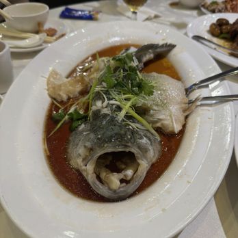 Lobster Harbour - Steam fish - Cantonese Near Me - Scarborough, Ontario Lobster Harbour - Steam fish - Cantonese Near Me - Scarborough, Ontario