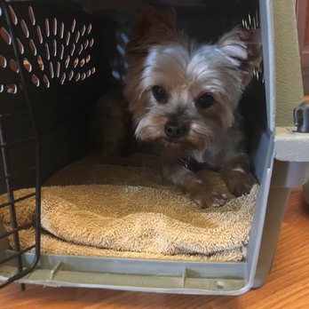 Happy Dog Spa - Pet Groomers Near Me - Corinth, Texas Happy Dog Spa - Pet Groomers Near Me - Corinth, Texas