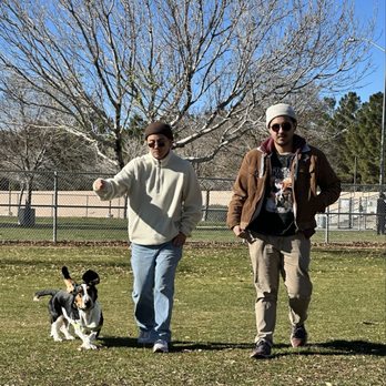 Barkin' Basin Dog Park - Who wants a treat? Come on! Let's go get it! - Dog Parks Near Me - Las Vegas, Nevada