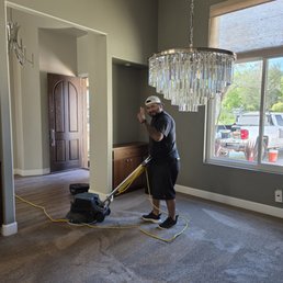 Multi stage process to get the carpet looking good as new.